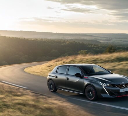 Les performances impressionnantes de la Peugeot 305 gti 16
