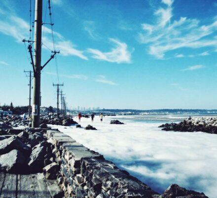 découvrez notre gamme de silent blocs de haute qualité pour peugeot 208 ii, conçus pour améliorer le confort et la tenue de route de votre véhicule.